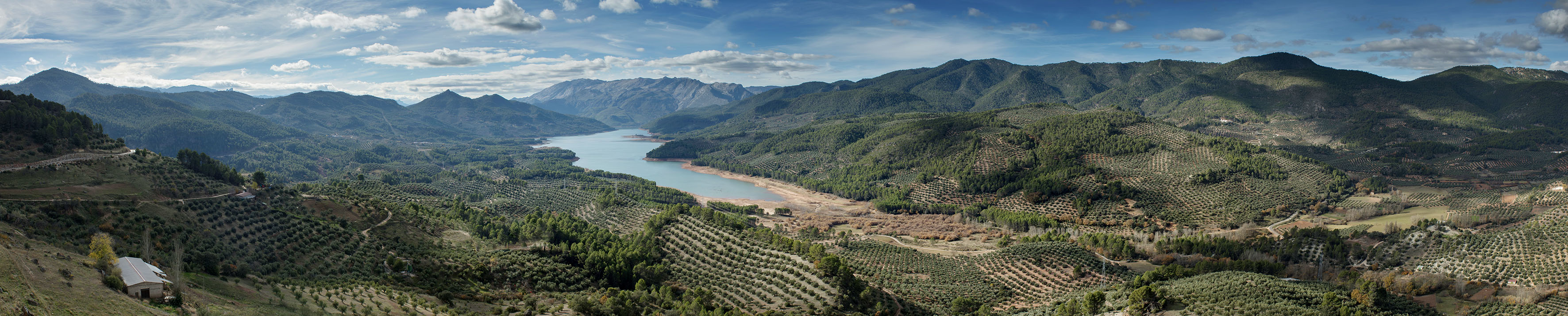 banner superior expediente Paisajes del Olivar
