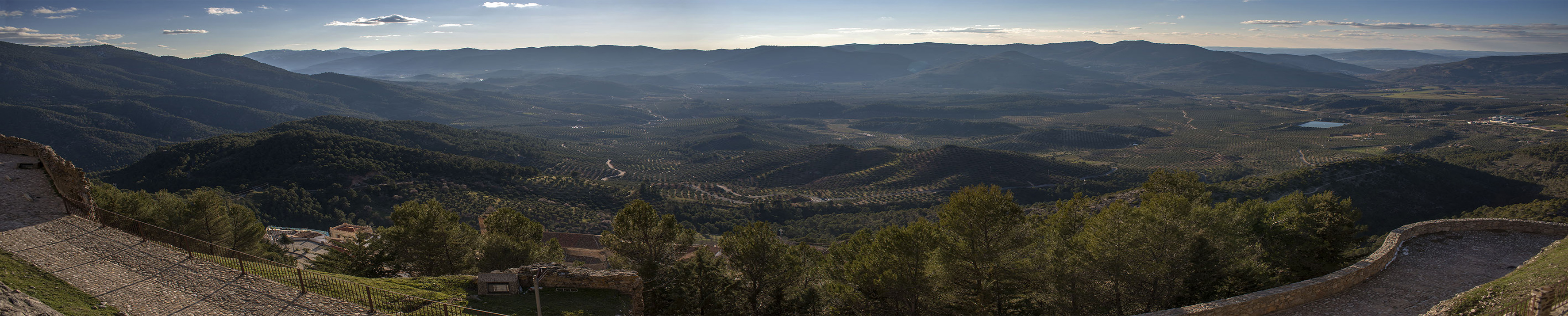 Paisajes del Olivar - Adhesiones