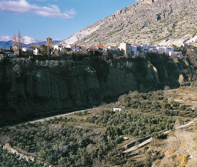 POA-3 VALLE DE LECRÍN: EL OLIVAR NAZARÍ 2