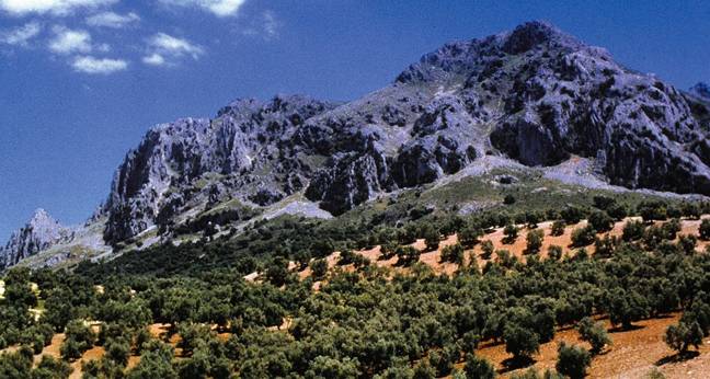 SUBBÉTICA CORDOBESA