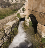 Huerta de Pegalajar3