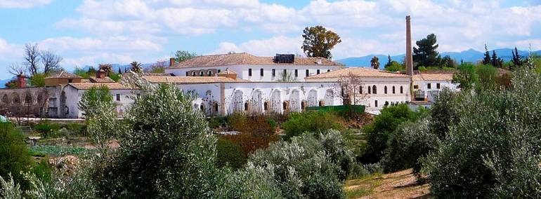 HACIENDA DE LA LAGUNA-ALTO GUADALQUIVIR