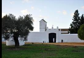 Hacienda de Tavera (Carmona, Sevilla).