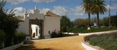 Hacienda Faín (Arcos de la Frontera. Cádiz)2