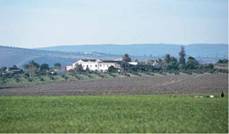 Hacienda Faín (Arcos de la Frontera. Cádiz)