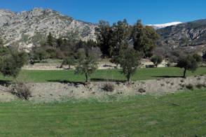 Sistema de bancales y regadíos históricos de Nigüelas