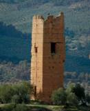 Cultivo de olivar Torres-cortijo2