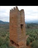 Cultivo de olivar Torres-cortijo3